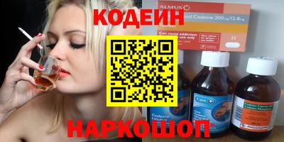 индика Камышлов
