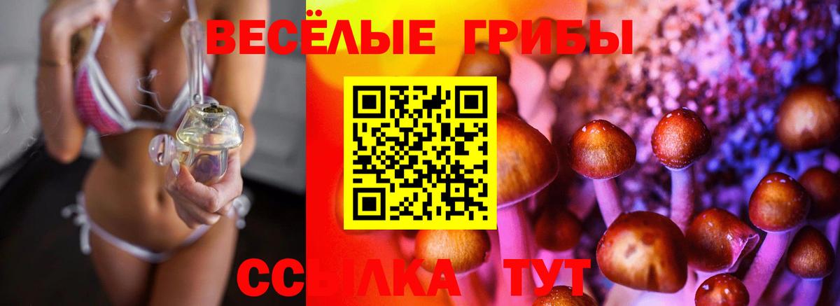 Галлюциногенные грибы Миллерово