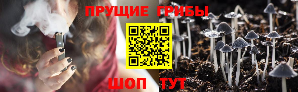 Галлюциногенные грибы Psilocybe  Галлюциногенные грибы ЛСД  Миллерово  Вход с VPN 