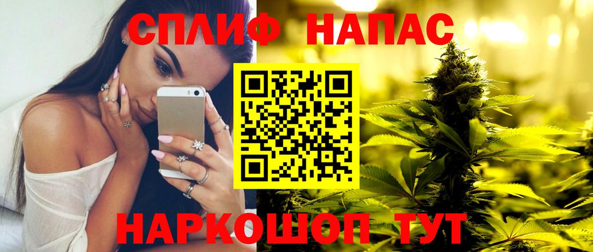 Канабис семена Миллерово